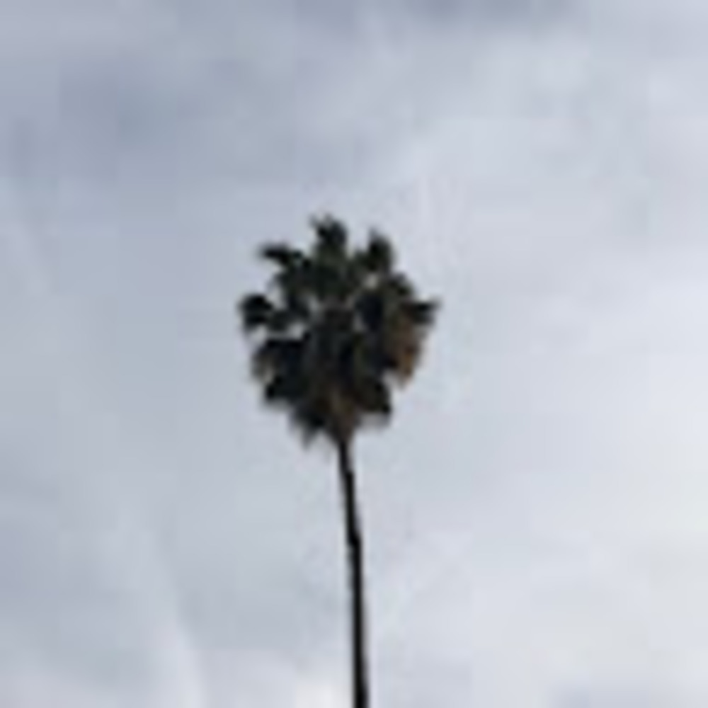 Meet your Posher, Rasta mon's